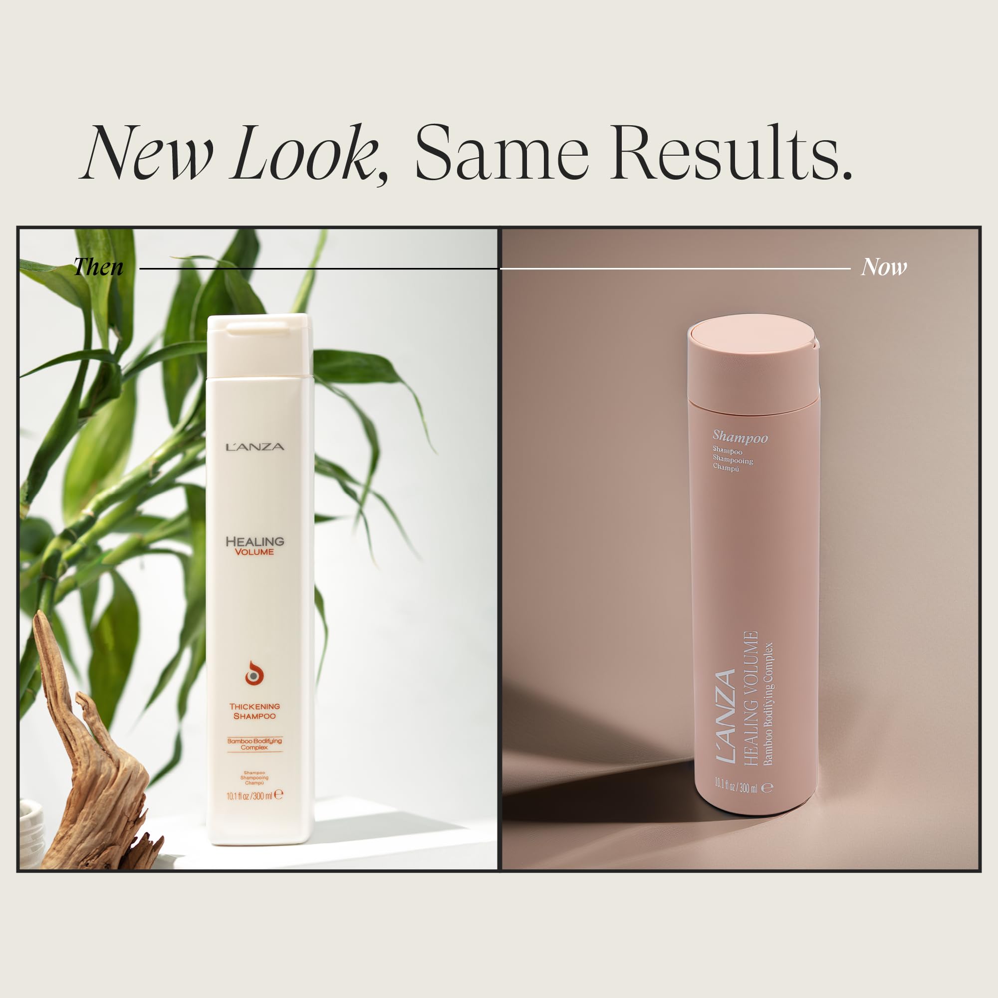 L'ANZA Healing Volume Hair Thickening Shampoo Volumizing Shampoo, Boosts Body, Lightweight Cleanse, Adds Fullness, Color Safe, Anti-Frizz Anti-Humidity Strengthening Care, Sulfate Free - Image 2