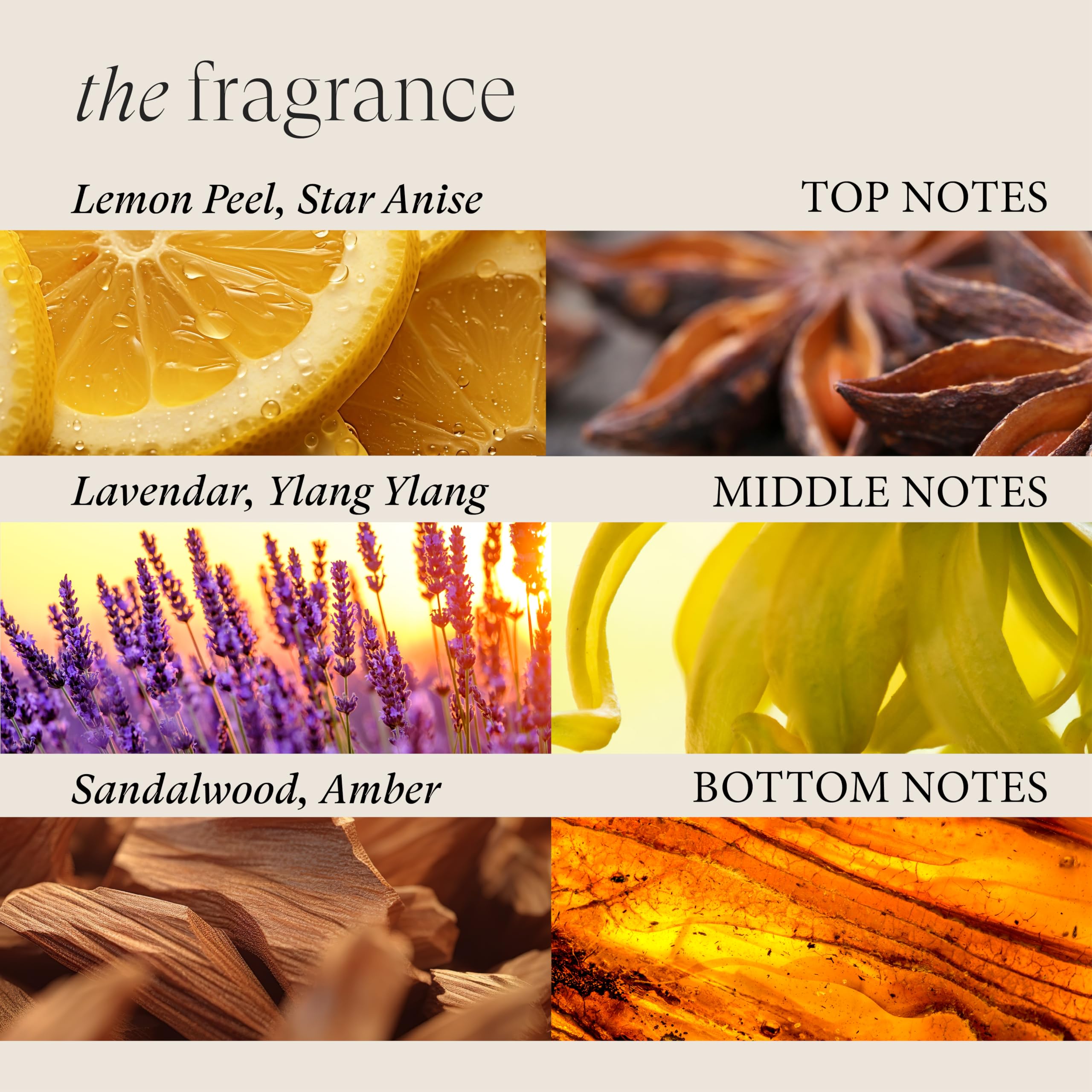 LNZ Scalp Therapy Balancing Pre-Wash Oil and Leave-On Serum - Image 7